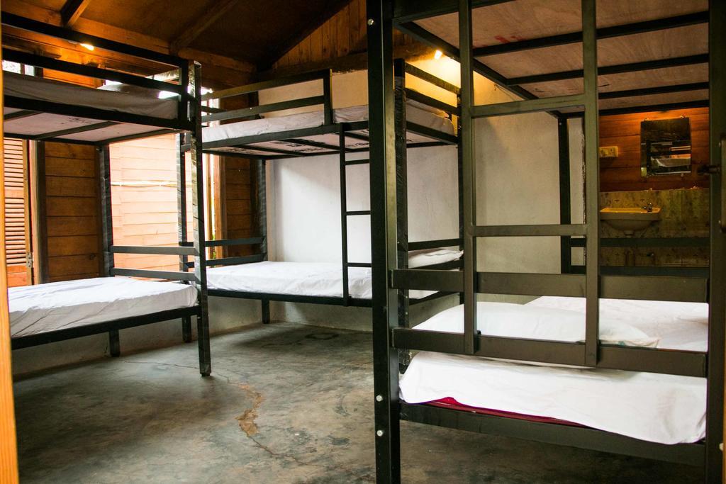 Wonderland Hostel Anjuna Phòng bức ảnh