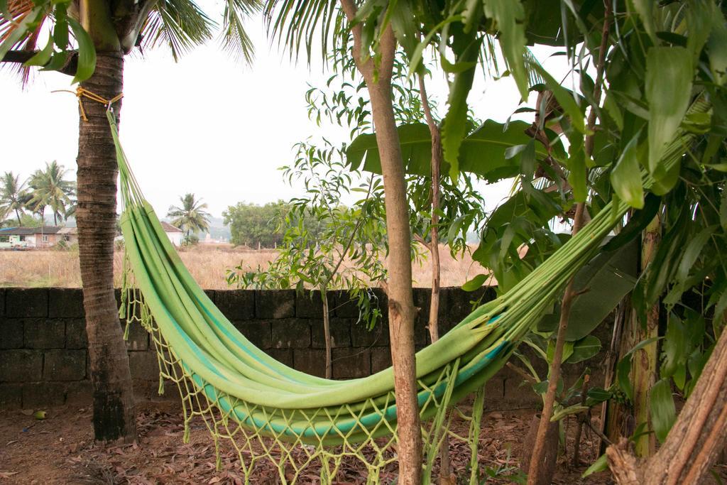 Wonderland Hostel Anjuna Ngoại thất bức ảnh
